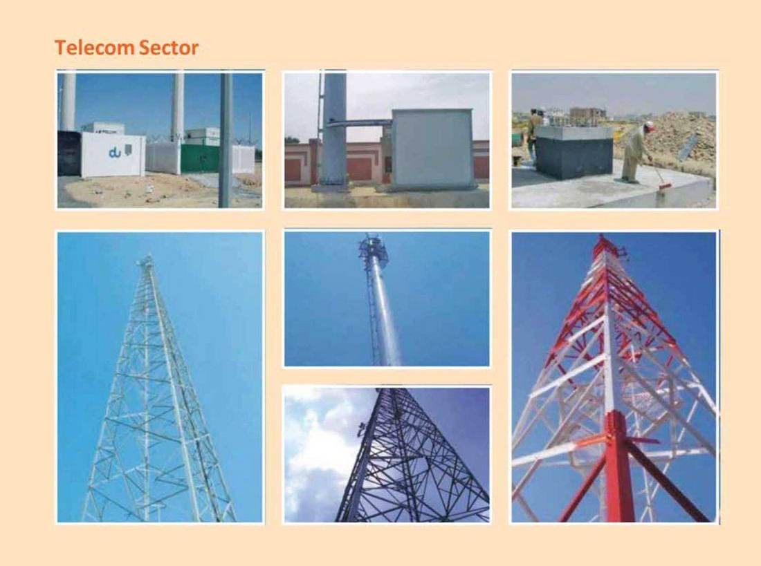 Telecom Sector